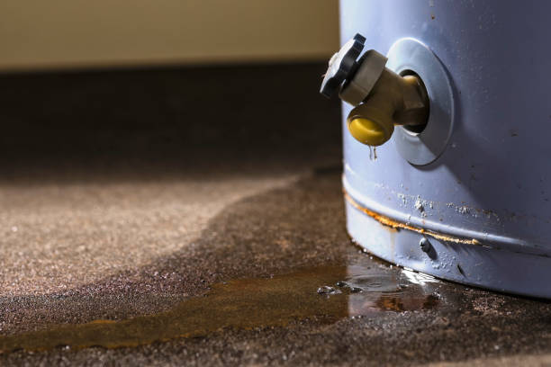 Water damage restoration mold remediation in Milton, WI