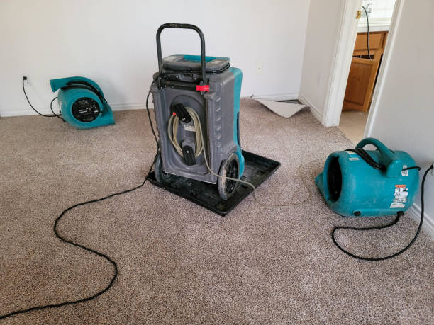  Milton, WI Water damage restoration Pros