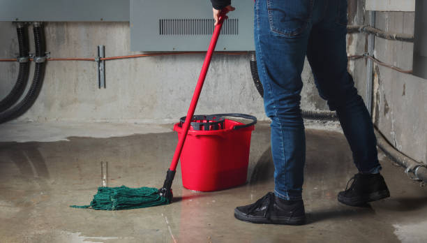 Best Mold removal after water damage  in Milton, WI